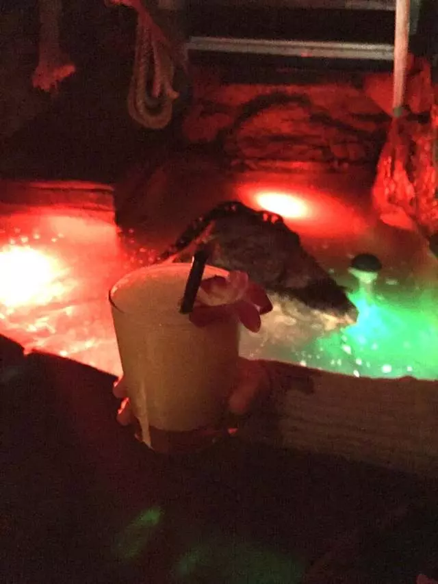 Smuggler’s Cove
