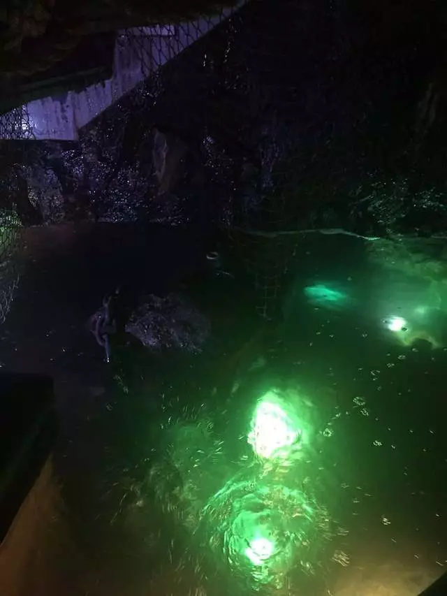 Smuggler’s Cove