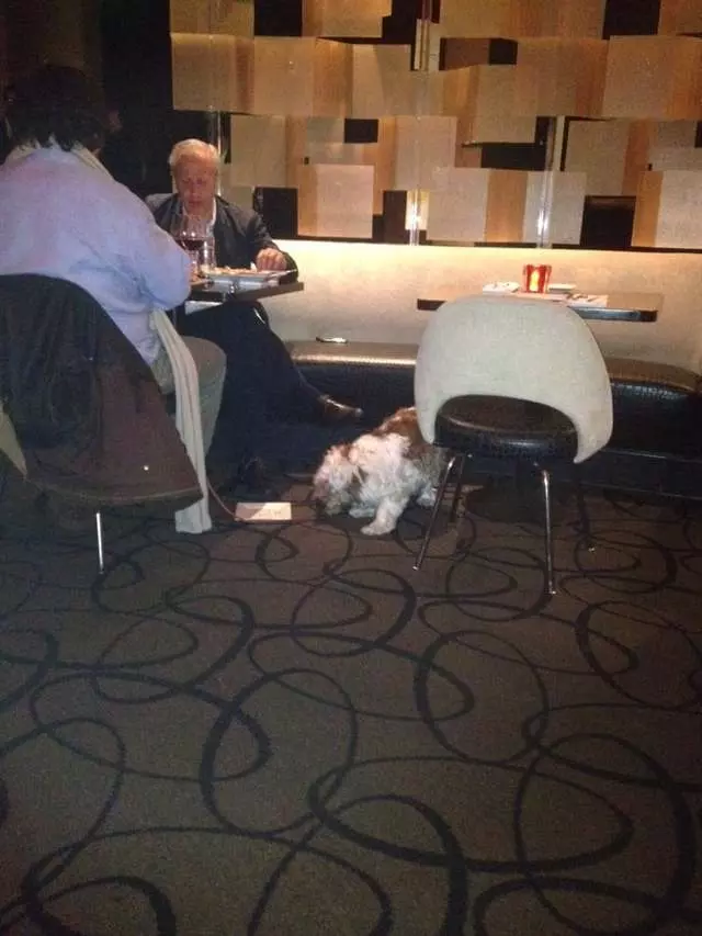 5A5 Steak Lounge