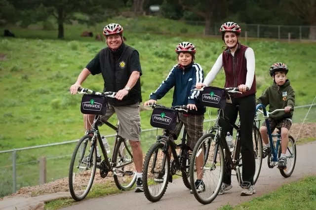 Parkwide Bike Rentals & Tours