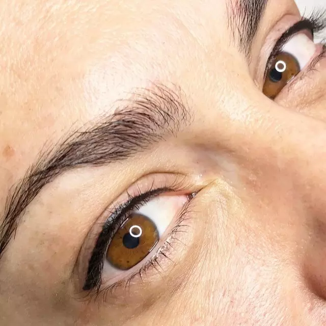 Brow Basics by Meg