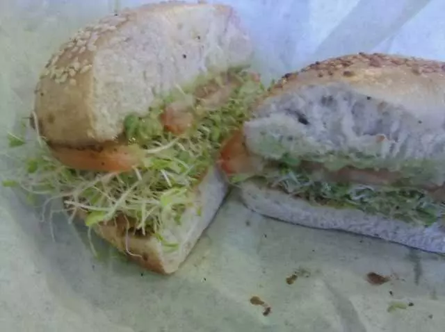 Panini