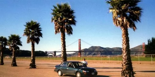 Ann’s Driving School