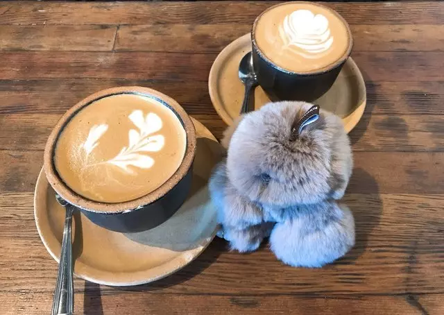 Four Barrel Coffee