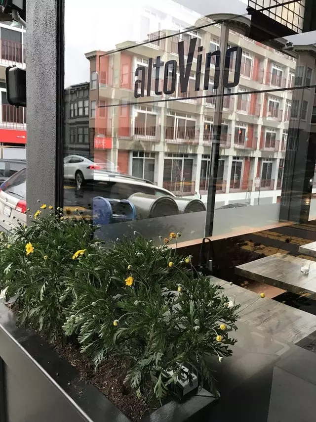 AltoVino