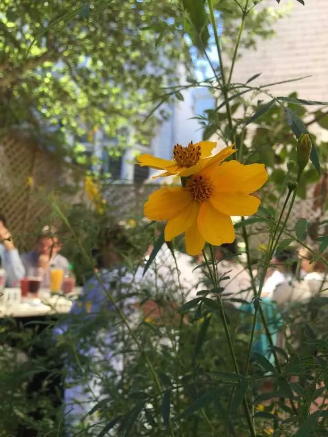 Cafe Reverie