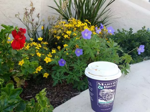 Martha & Brothers Coffee