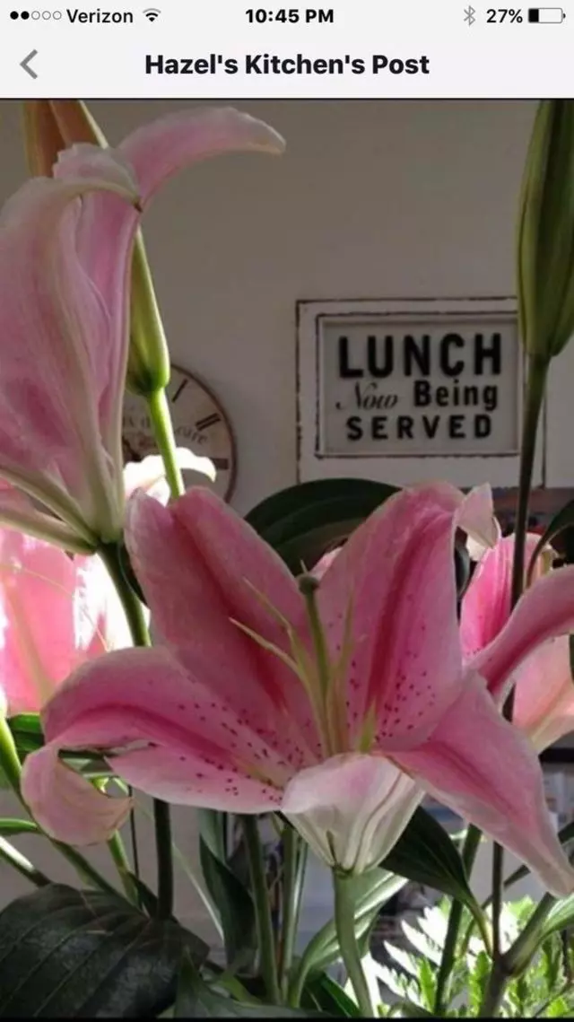 Hazel’s Kitchen