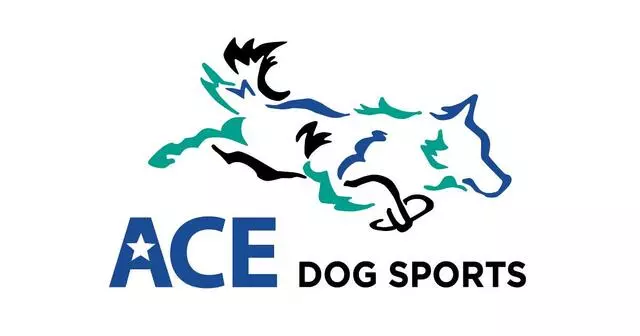 Ace Dog Sports