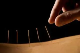 Body Intelligence TCM