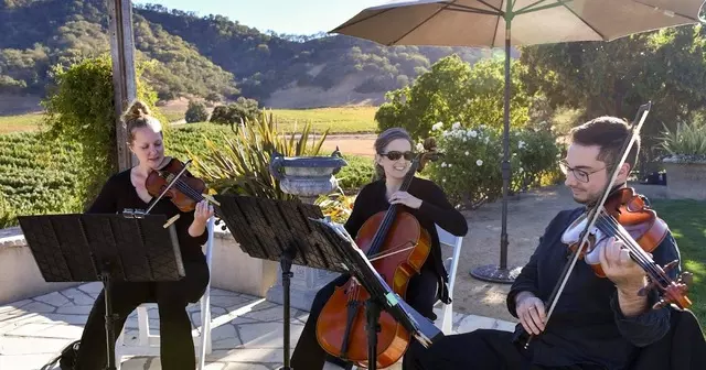 Bay Area Strings