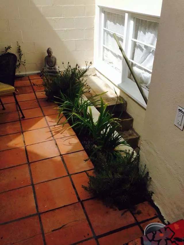 Azimut-Trees and Garden Services