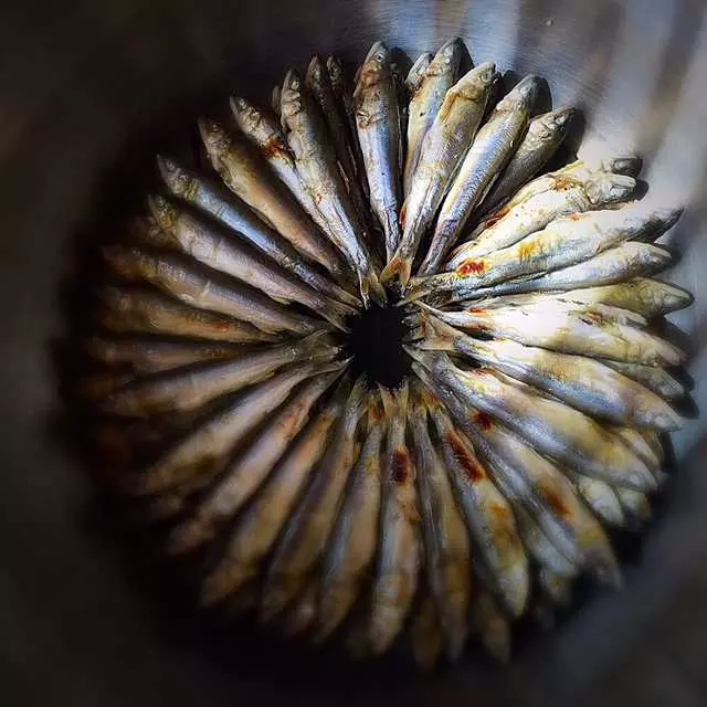 Ijji Sushi