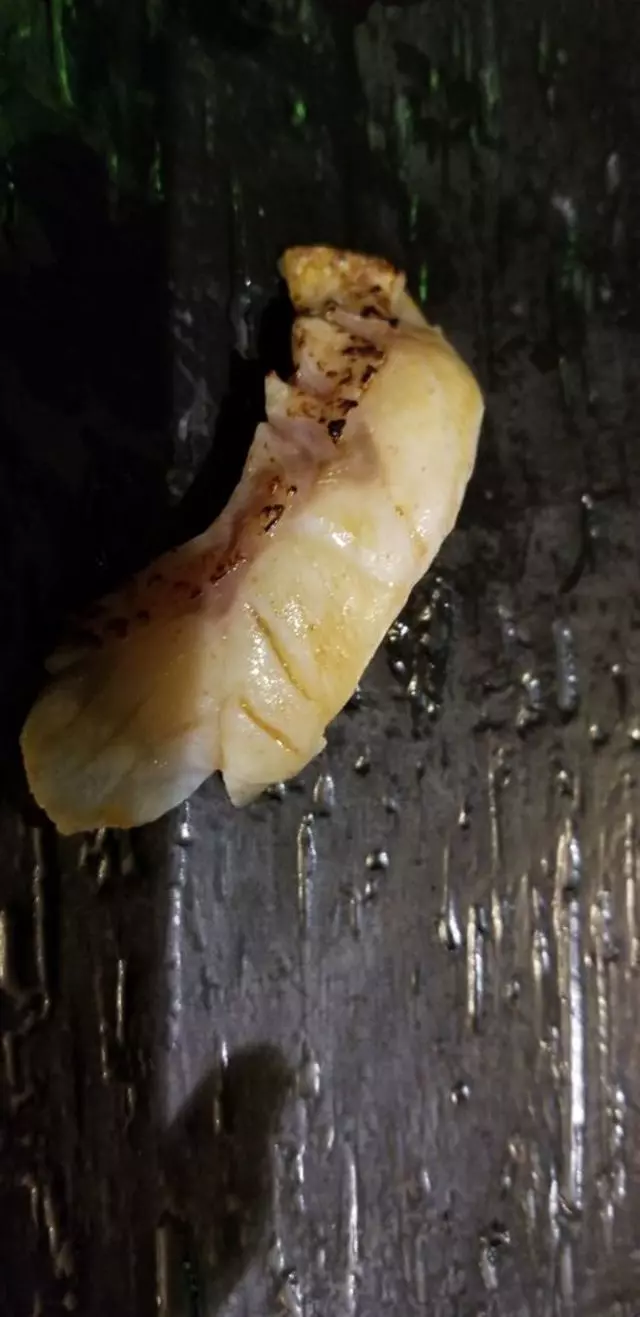 Sushi Hon