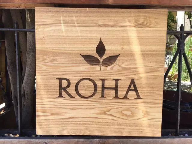 Roha Center For The Healing Arts