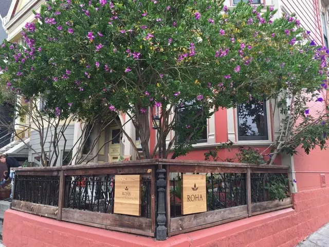 Roha Center For The Healing Arts