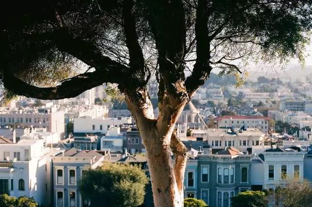 Alta Plaza Park