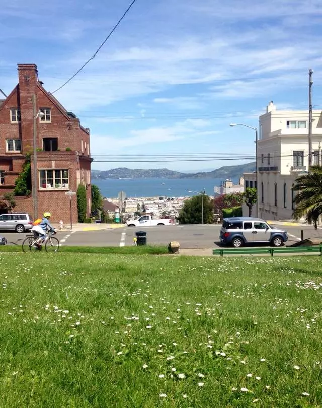 Alta Plaza Park