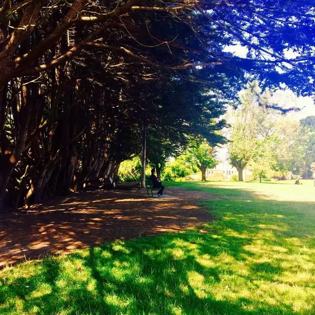 Alta Plaza Park