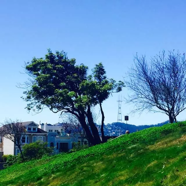 Alta Plaza Park