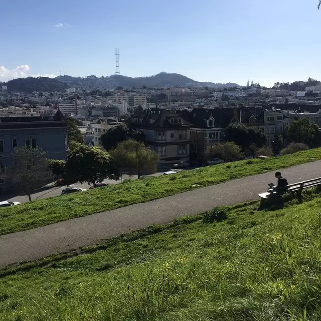 Alta Plaza Park