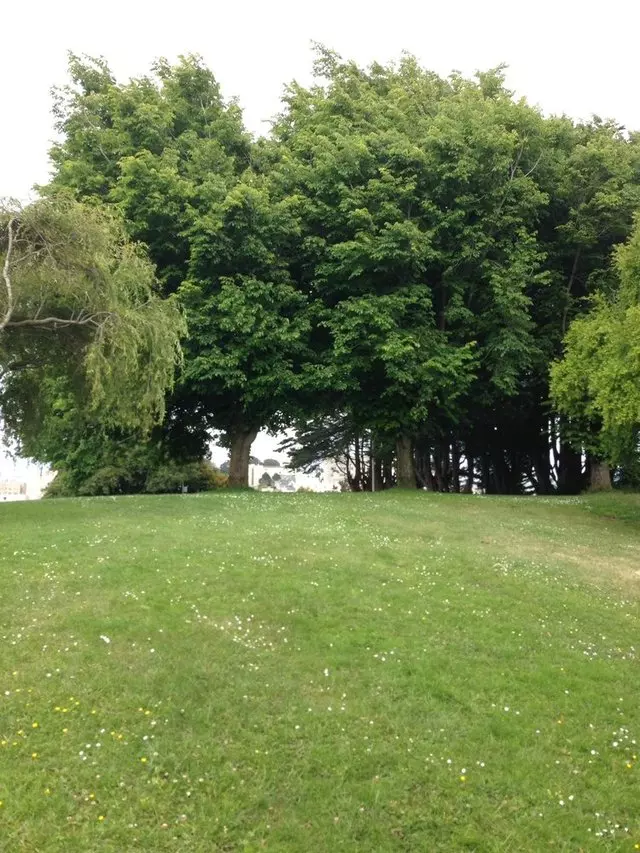 Alta Plaza Park