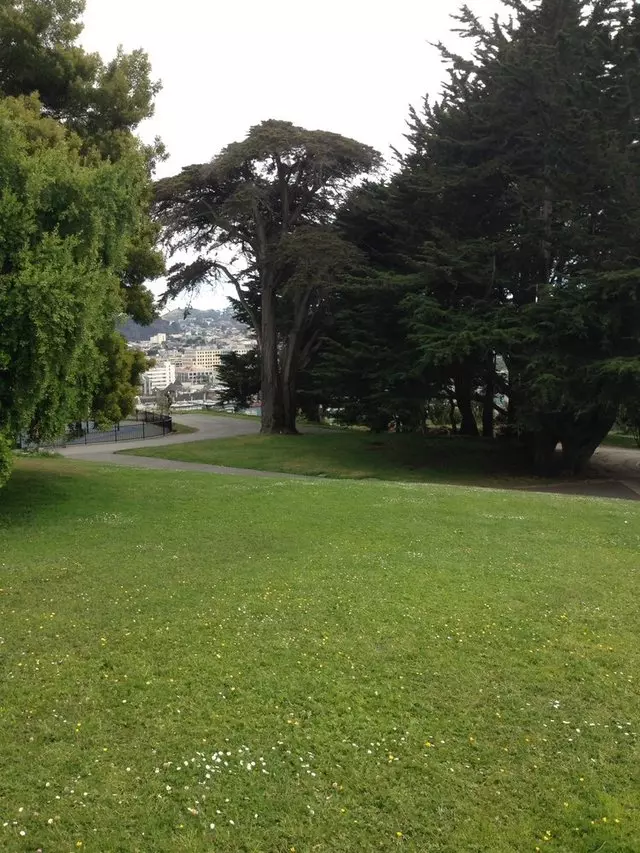 Alta Plaza Park