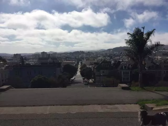 Alta Plaza Park