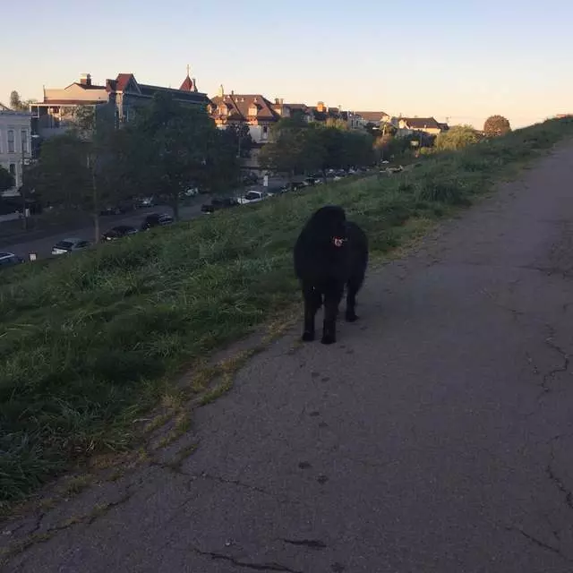 Alta Plaza Park