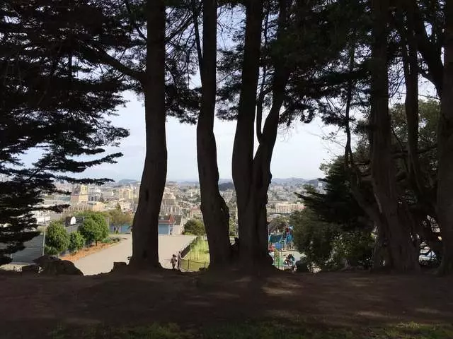 Alta Plaza Park