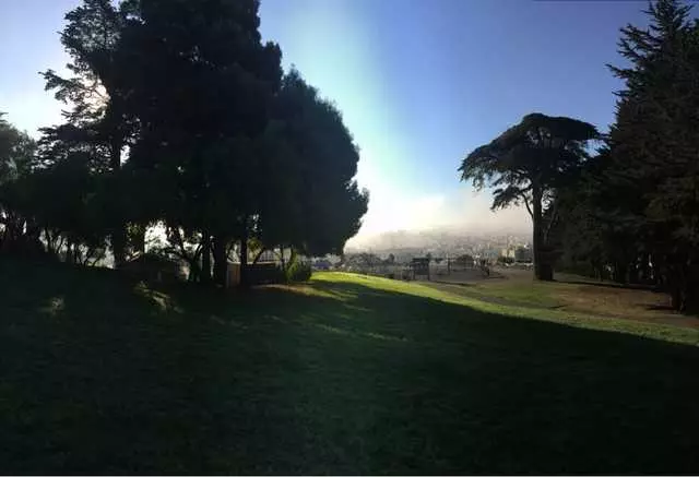 Alta Plaza Park