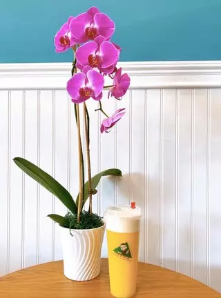 Hi Tea
