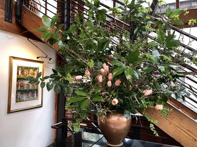 Zuni Café