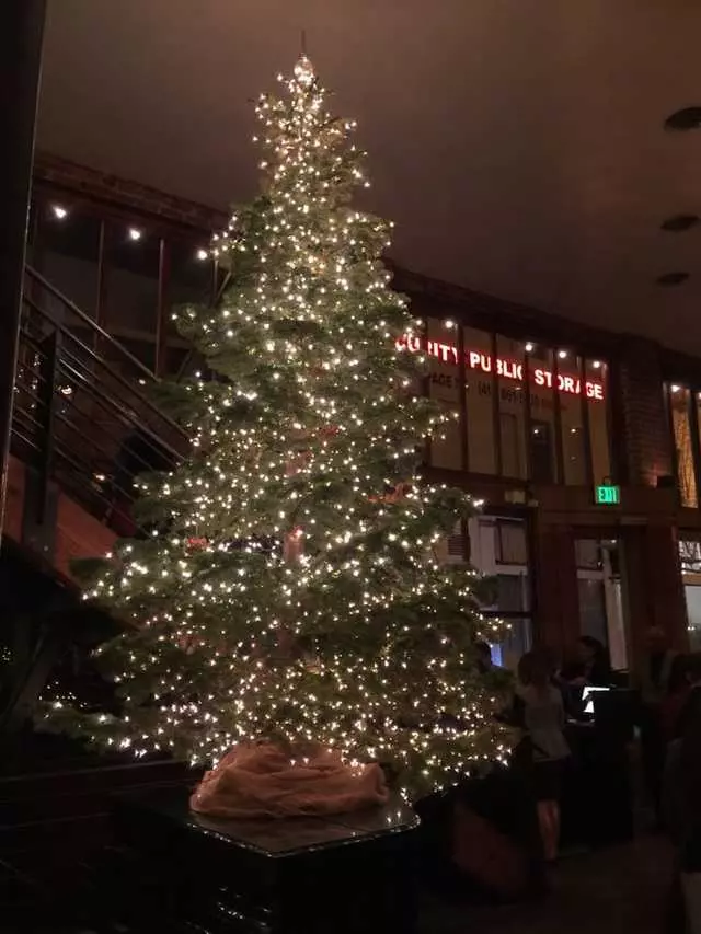 Zuni Café