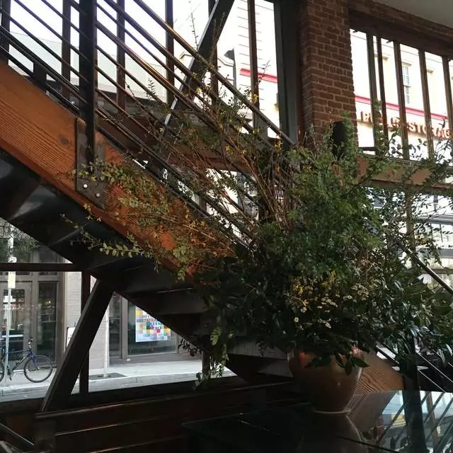 Zuni Café