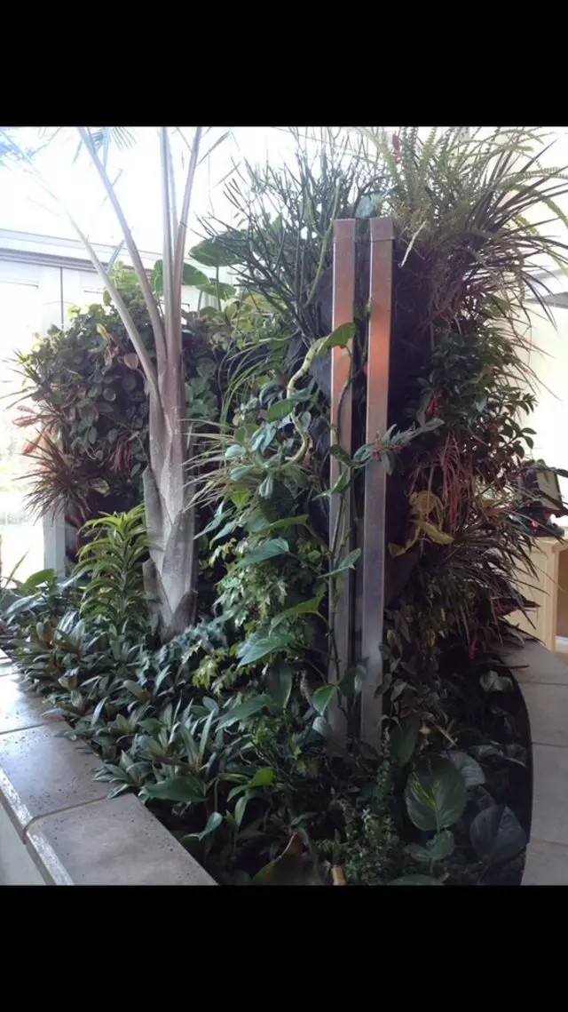 Alexander Nurseries & Garden Design