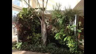 Alexander Nurseries & Garden Design