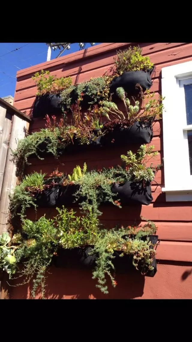 Alexander Nurseries & Garden Design
