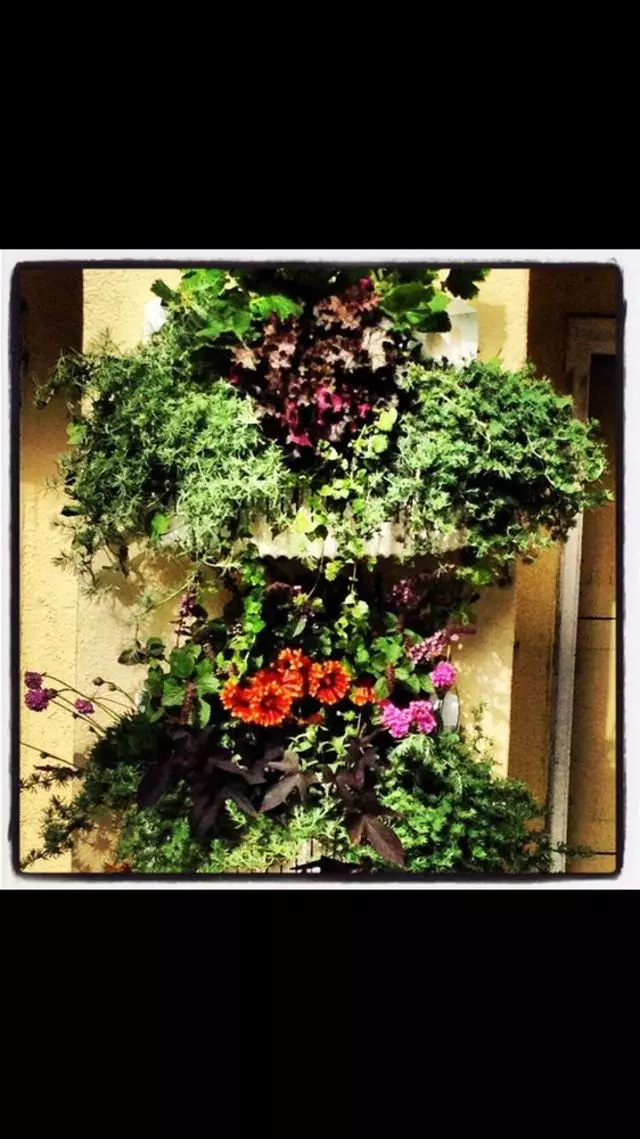 Alexander Nurseries & Garden Design