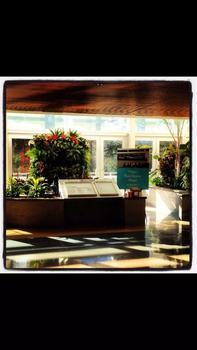 Alexander Nurseries & Garden Design