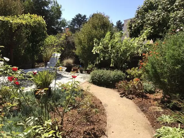 Alexander Nurseries & Garden Design