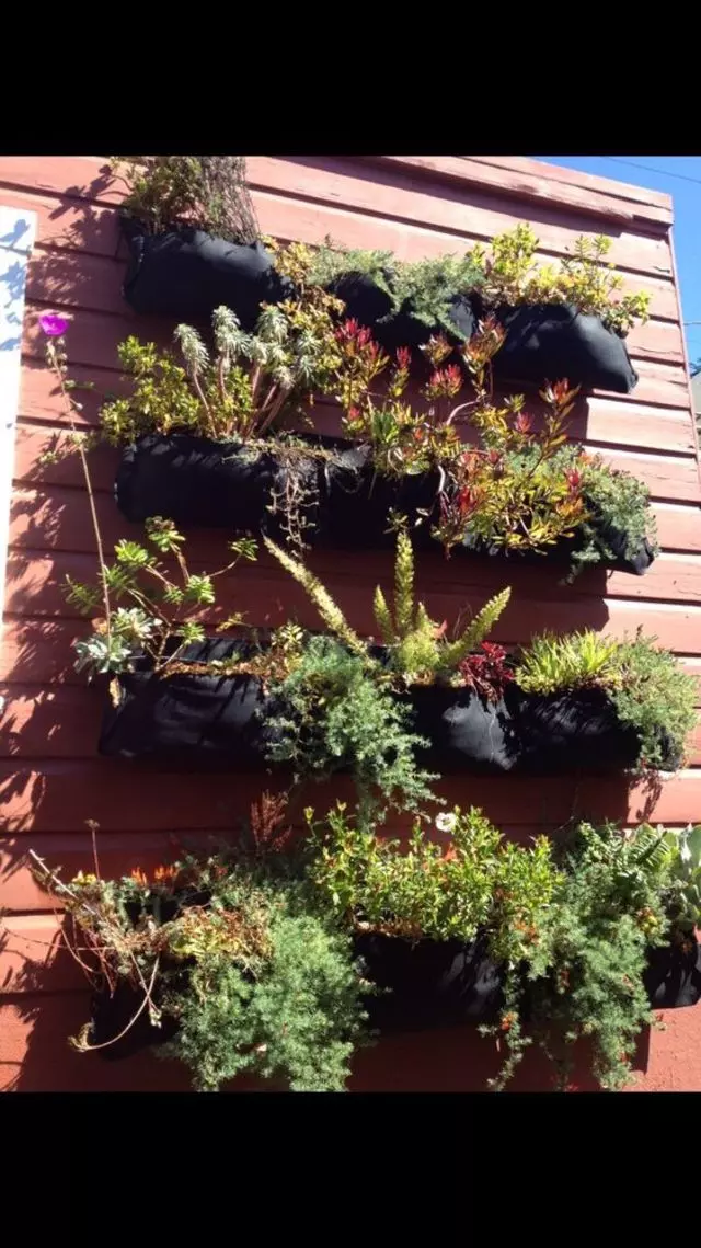 Alexander Nurseries & Garden Design