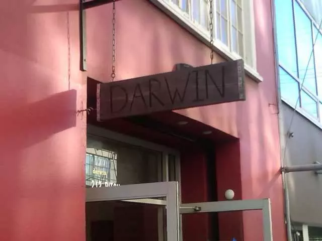Darwin Cafe