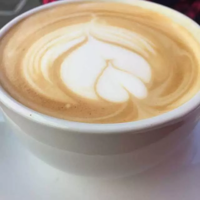 Darwin Cafe