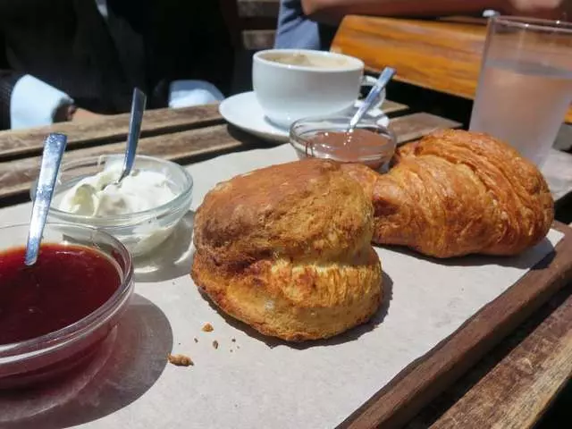 Darwin Cafe