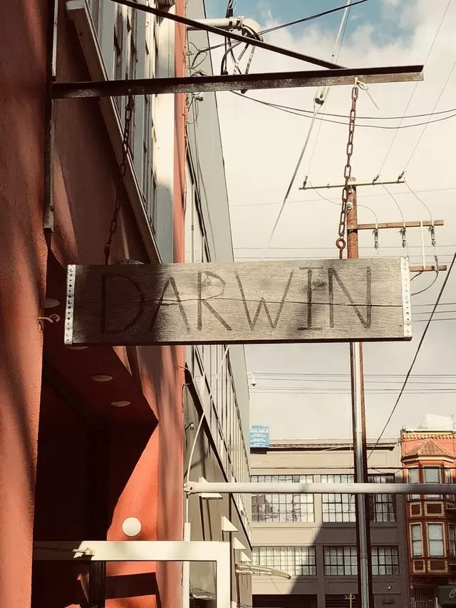 Darwin Cafe