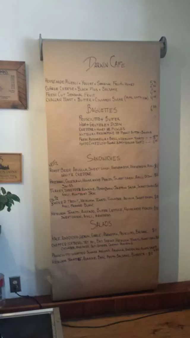 Darwin Cafe