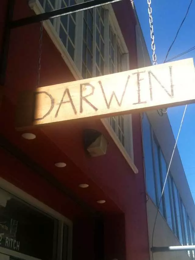 Darwin Cafe