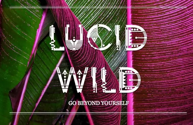 Lucid Wild