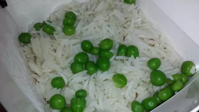 Indian Oven